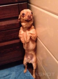 Очередная порция картинок с подписями