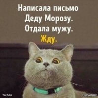 Этот пост посвящается тем, у кого нет новогоднего настроения