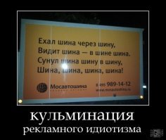 15 проникновенных цитат об идиотизме