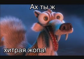 Как синица у белки орех украла