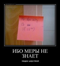 Хамура Кусаки