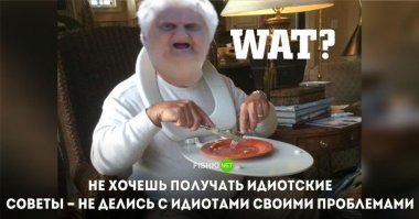 15 проникновенных цитат об идиотизме