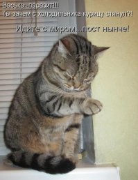 Я тут лежу, и не… волнует: 19 котов-мастеров бросить кости