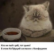 Международный день чая