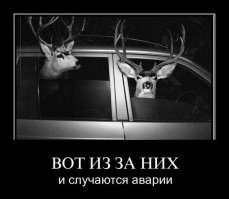 Подборка автомобильных приколов