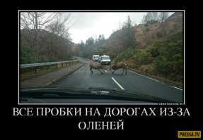 Подборка автомобильных приколов