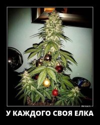 Подборка автомобильных приколов