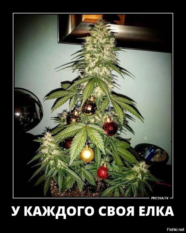 Подборка автомобильных приколов