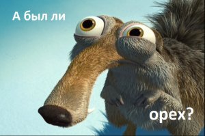 Как синица у белки орех украла