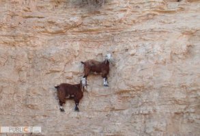 Подборка автомобильных приколов