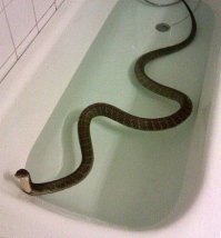 А может муж видел все по другому..