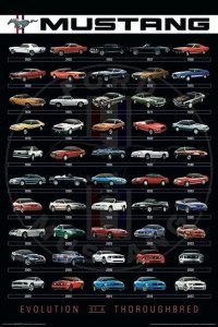 В моём восприятии, это один из некрасивых мустангов из всей модельной истории. С 79-го по середину 90-х, Мустанги были что-то так себе.