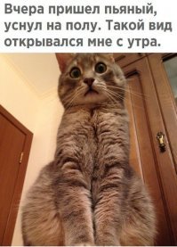 Очередная порция картинок с подписями