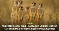 Взять цитату классика



Исковеркать её и выдать за свою



И вот ты уже похож на мудреца))