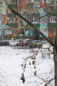 Сегодня - Международный день чая