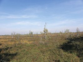 Обыкновенное моховое болото тоже крайне неприятное место: звук ни от чего не отражается, поэтому ощущение, что говоришь в никуда. Если в пасмурный день закрыть глаза и несколько раз повернуться на месте - всё, ориентировка потеряна. 
Зато растёт клюква. :)