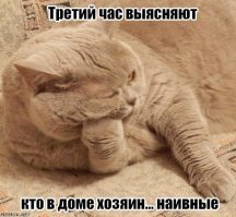 Картинки с надписями для настроения