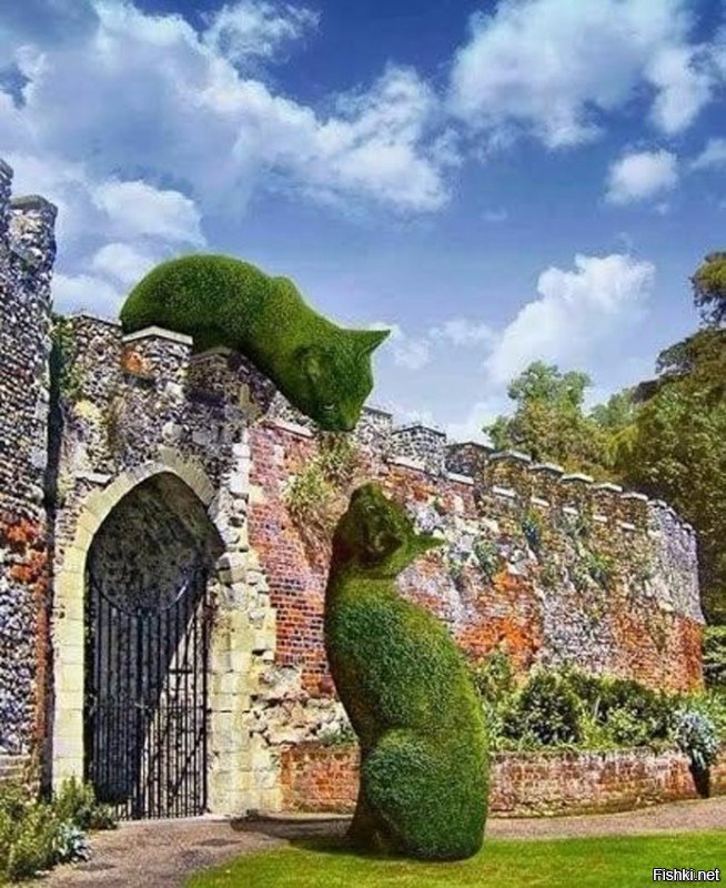 Топиар - сумасшедшее искусство из кустов