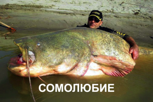 Люблю, но как друга: вся правда о френдзоне