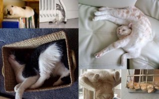 Картинки с надписями для настроения