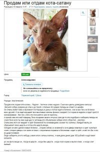 Объявление