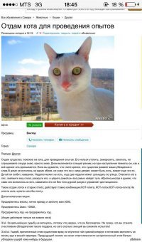 Этот мне больше нравится