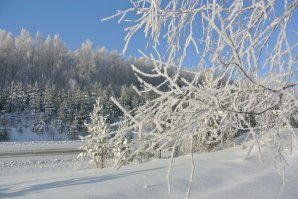 Везде есть своя красота,что в горах,что в пустыне,что в степи.Причём в любое время года