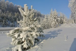Везде есть своя красота,что в горах,что в пустыне,что в степи.Причём в любое время года