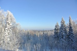 Везде есть своя красота,что в горах,что в пустыне,что в степи.Причём в любое время года