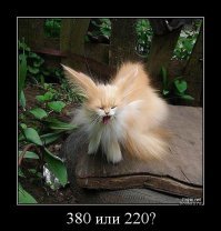 У хорошего электрика и кошак в помощь.