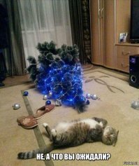 Картинки с надписями для настроения