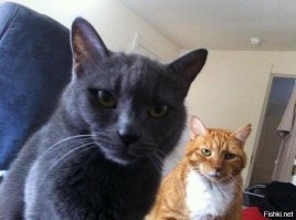 Жизнь — это не просто боль, а настоящая мясорубка