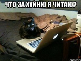 Как мы с немцами в снежки играли