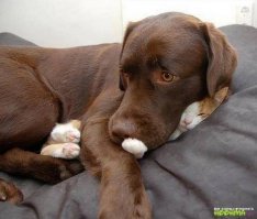 где он делся?)