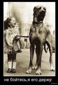 Овчарка загрызла таксу и едва не разорвала девятилетнюю девочку