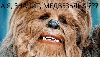 Собакомедведь постепенно привыкает к людям