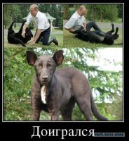 Дурной пример заразителен:)