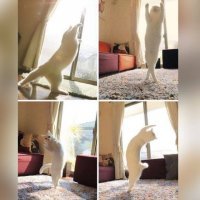 Картинки с надписями для настроения