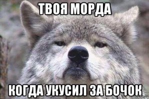Смешные картинки с надписями