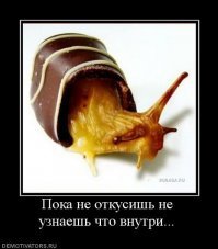 Поразительные сюрпризы, спрятанные внутри обыденных вещей