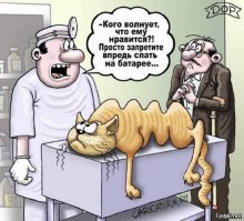 Фото, на которых не то, что может показаться
