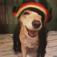 Рэгги, говоришь?