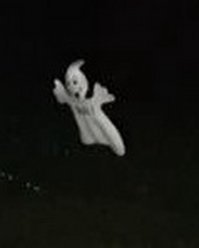 Это не кот..это его реинкарнация ...