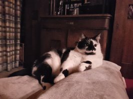 Да ладно. Нас здесь подобрали, а не в Америке, но нам тоже хорошо.