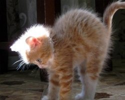 Они решили сделать первый шаг. Это была первая ошибка