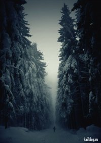 Волшебная красота зимы