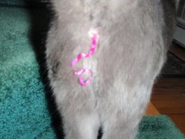 Утилизация новогодних украшений.
Профессионально.