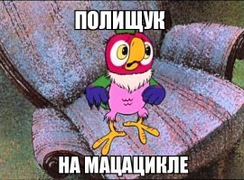 Санта-Клаус на мотоцикле помог задержать женщину, сбившую пешехода