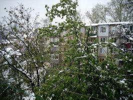 живу в молдове. прошлой зимой снега было кот наплакал. зато в апреле 2 дня мело на цветущие деревья. в кишиневе до сих пор все не разгребли после такого: