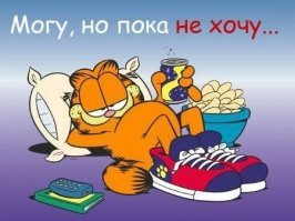Как заставить тунеядца работать?